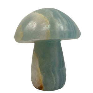 BLUE ONYX Large Mushrooms - 47-65 mm - Price per gram - China - NEW722