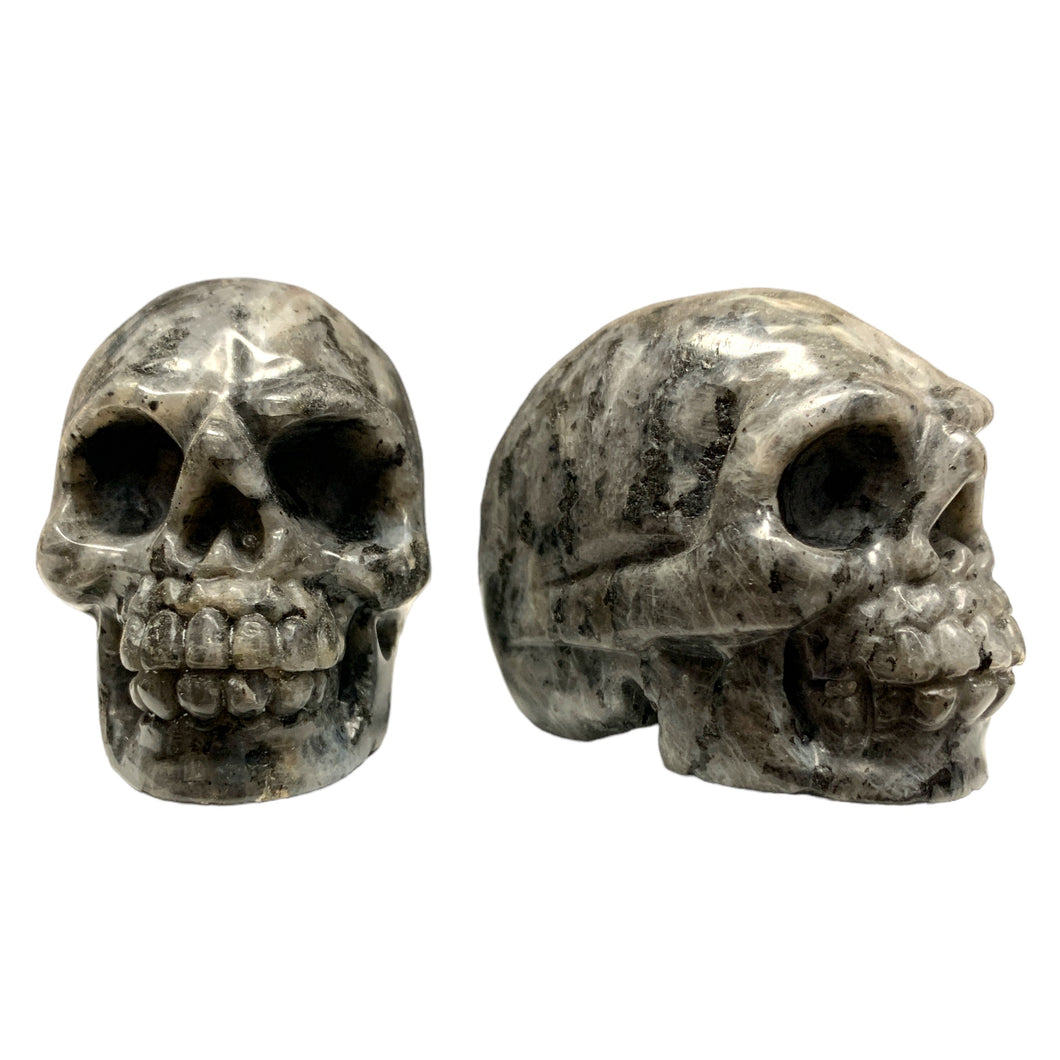 Skull Small - LARVIKITE - 40x50 mm - China - NEW622