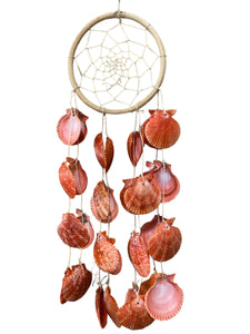Dream Catcher Wind Chime - 6 inch Ring - with Red Pecten SHELLS - NEW623