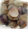 1 KG - Purple Fresh Water Clams - 1 - 2 inches
