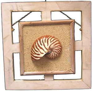 NAUTILUS WALL DECOR - SINGLE WHITEWASH - 10 x 10