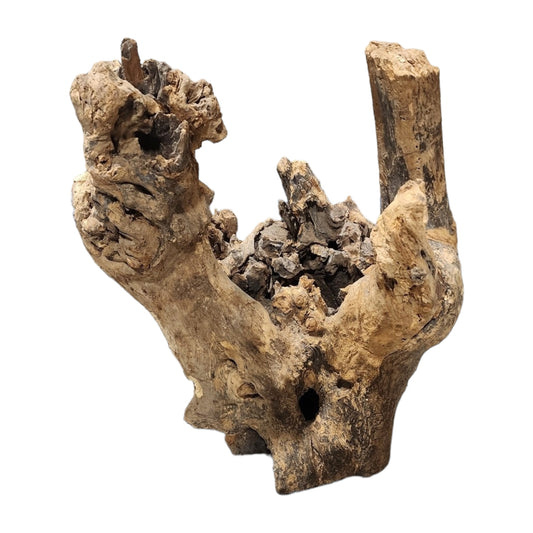 Stump Driftwood