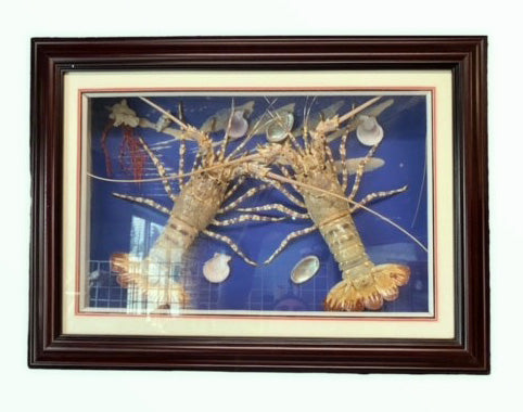 DOUBLE LOBSTER IN PICTURE FRAME - 60 x 48 cm