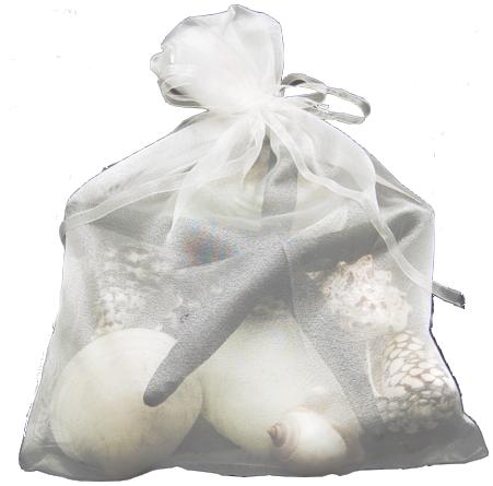 LG ORGANZA SHELLBAG BL STAR