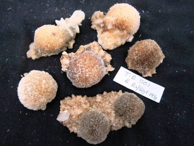 Thomsonite Balls Lot 501 - Specimens from India