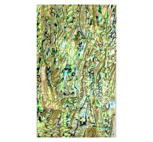 GREEN ABALONE - LAMINATE SHEET - 9.5 x 5.5 inch