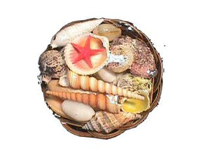 BASKET PACK OF SHELLS - 4 inch - ROUND