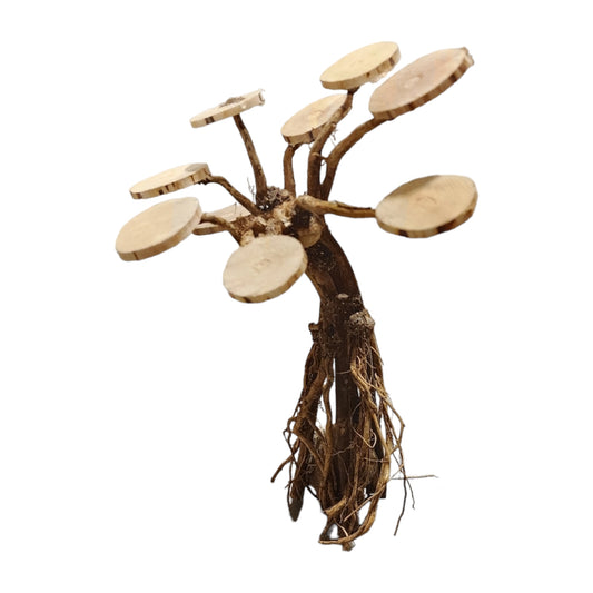 Bonsai Patu Driftwood