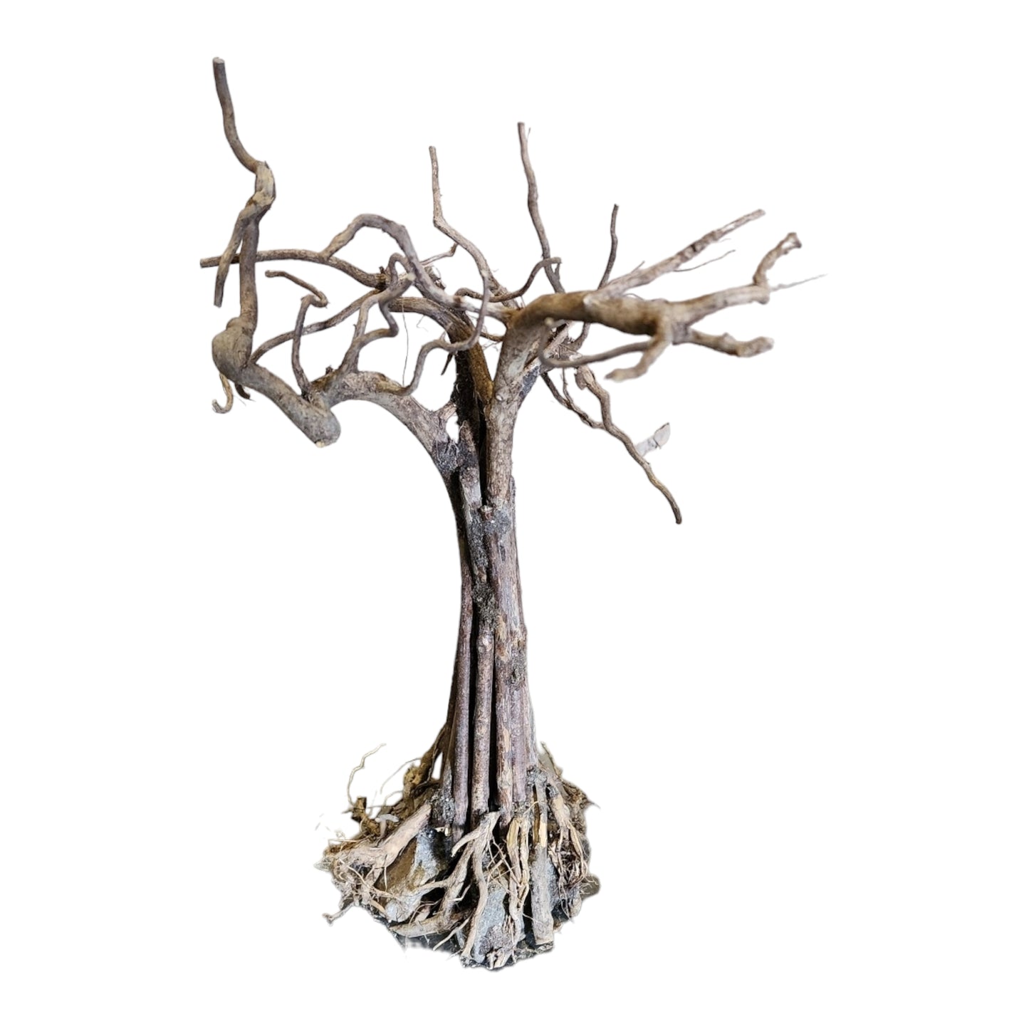 Tree Patu Driftwood