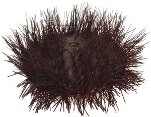 Spiny Black Urchin - 5 inches