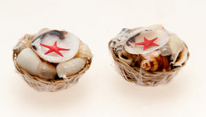 BASKET PACK OF SHELLS - 2 inch MINI - ROUND