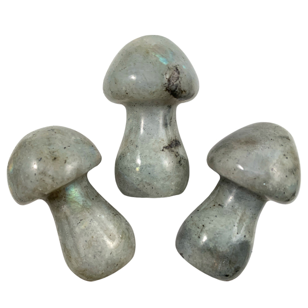 Mushrooms SMALL Labradorite - 35mm - Price Each - China - NEW722