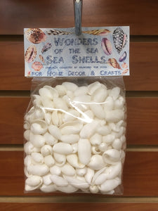 Wonders Of The Sea - White Bubble Shells - 1 inch